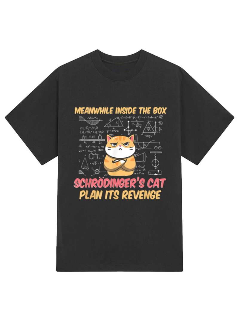 Meanwhile Inside The Box Funny Schrödinger's Cat T-Shirt - Image 2